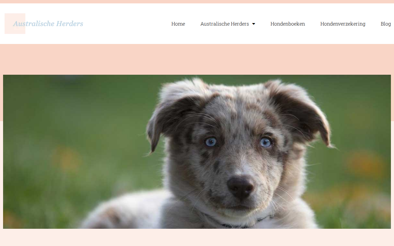 australischeherders.nl