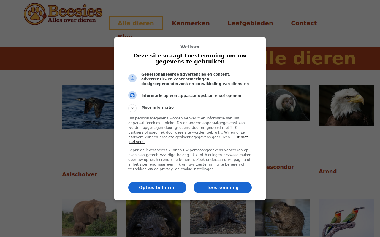 beesies.nl