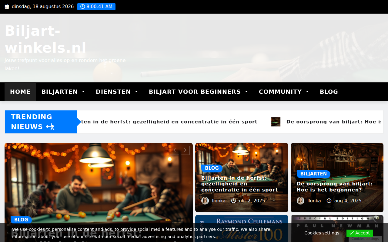 biljart-winkels.nl