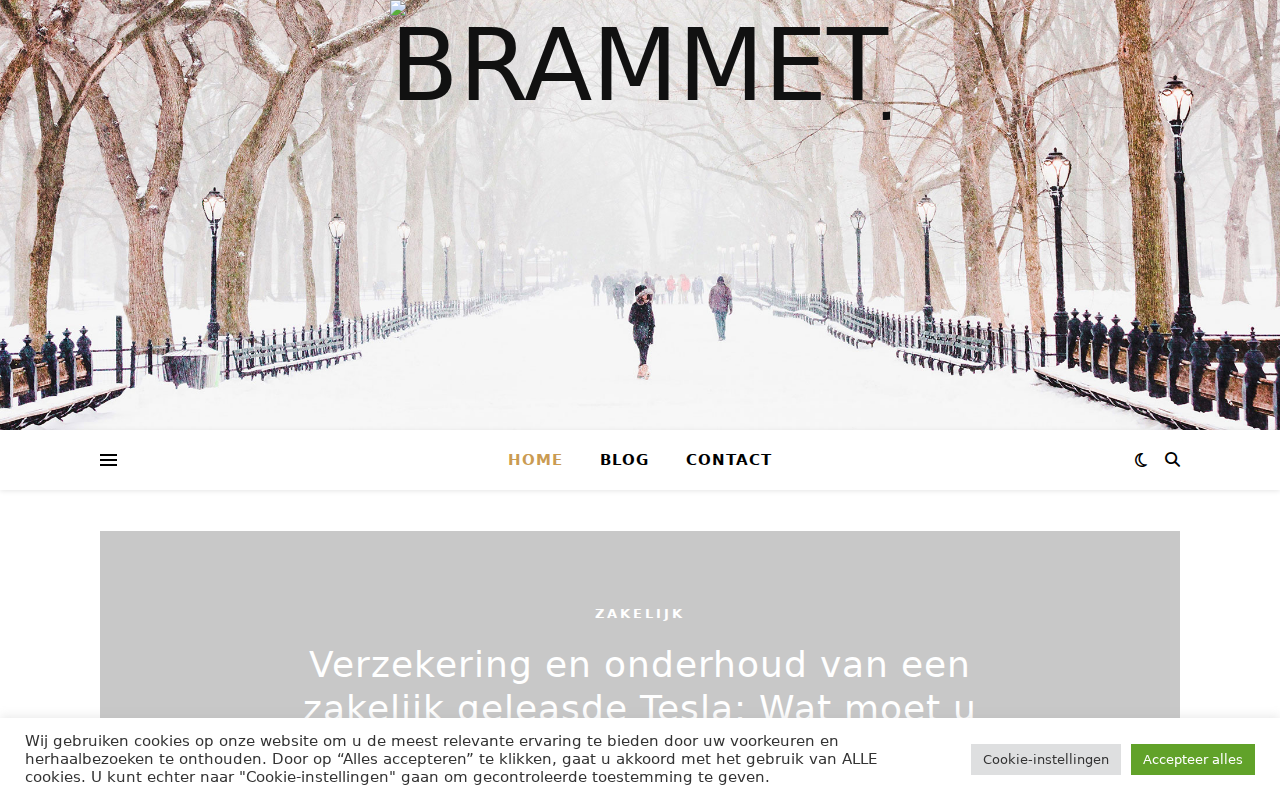 brammetjebaas.nl