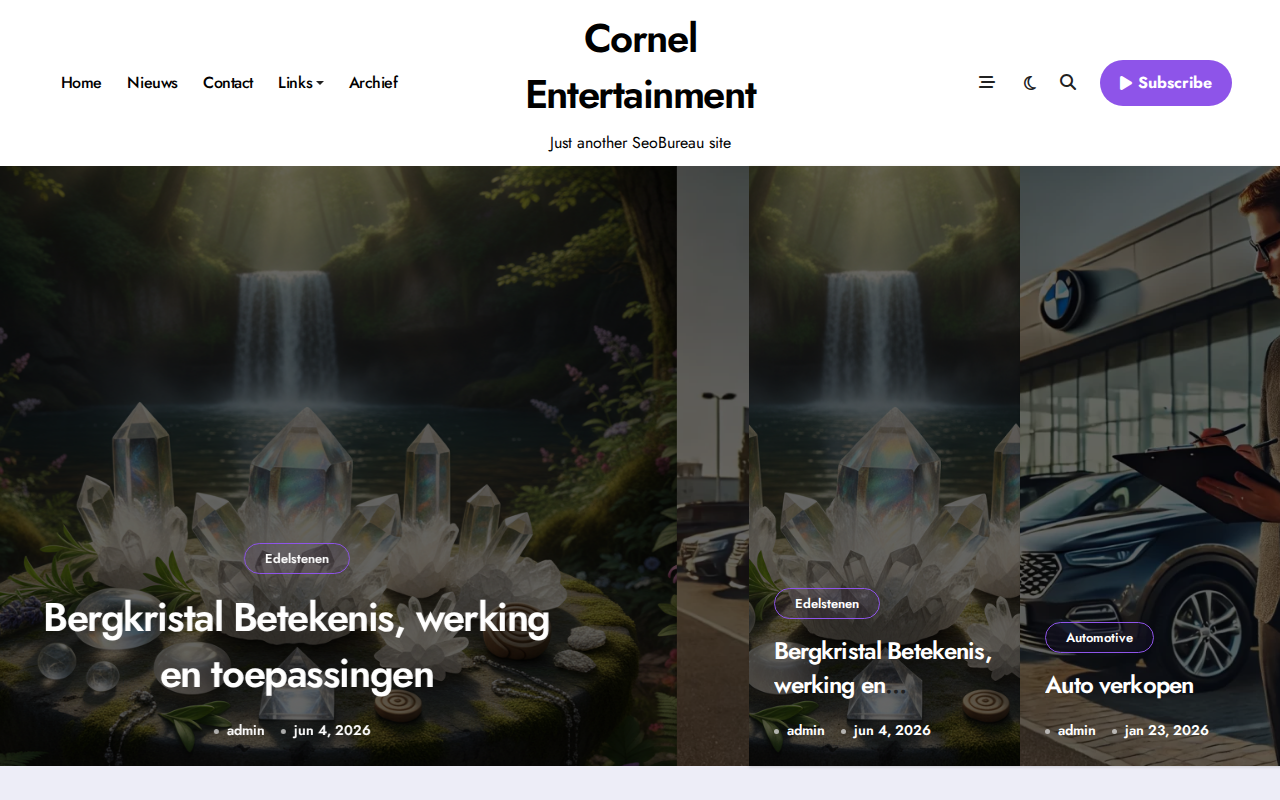 coronel-entertainment.nl