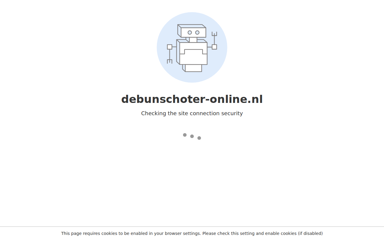 debunschoter-online.nl