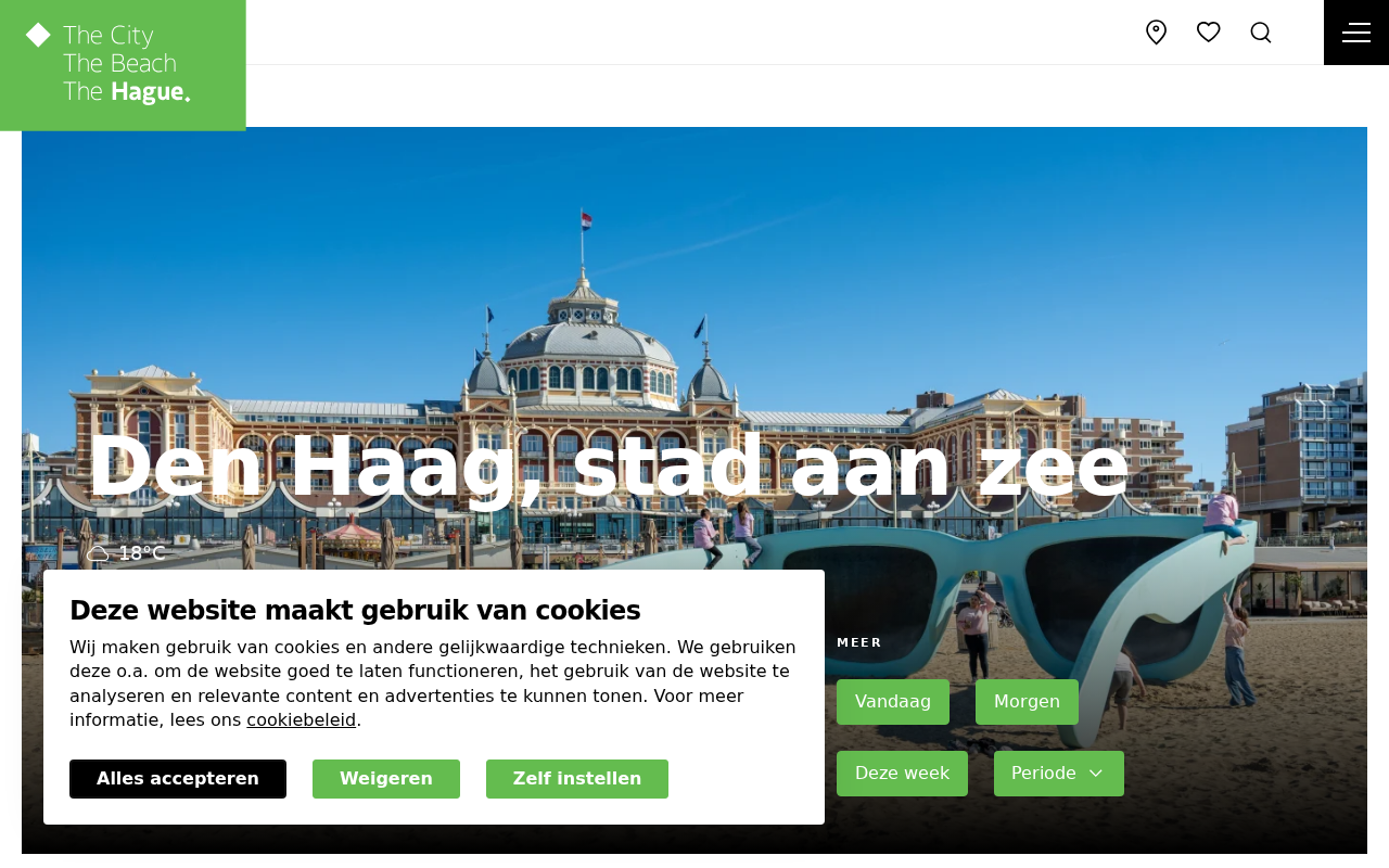 denhaag.com