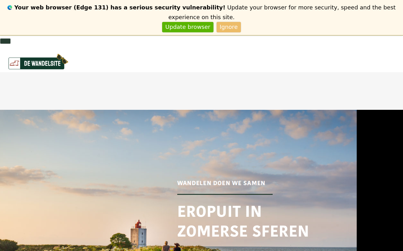 dewandelsite.nl