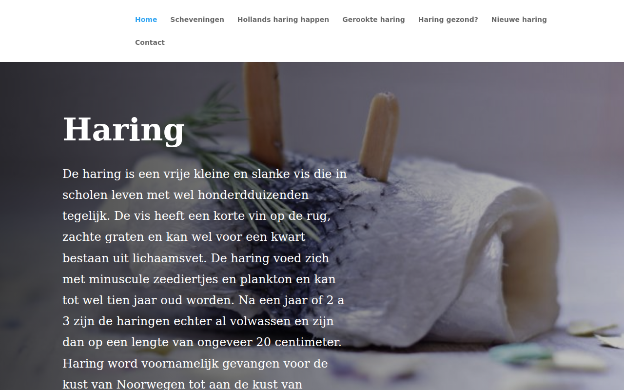 ha-ring.nl