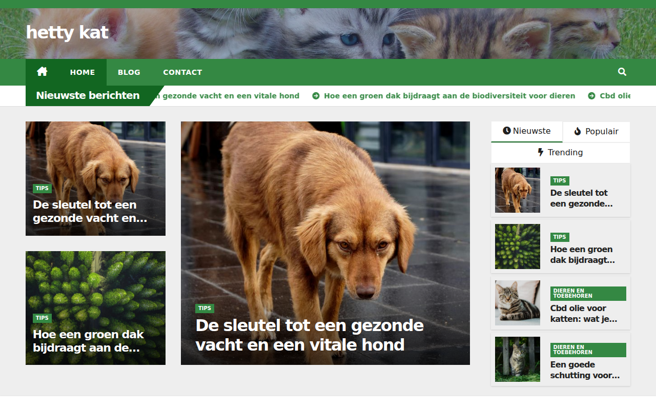 hettykat.nl