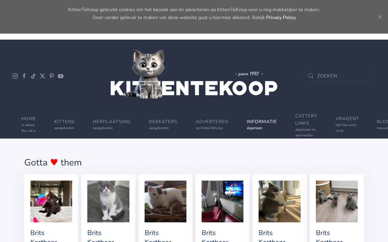 kittentekoop.nl