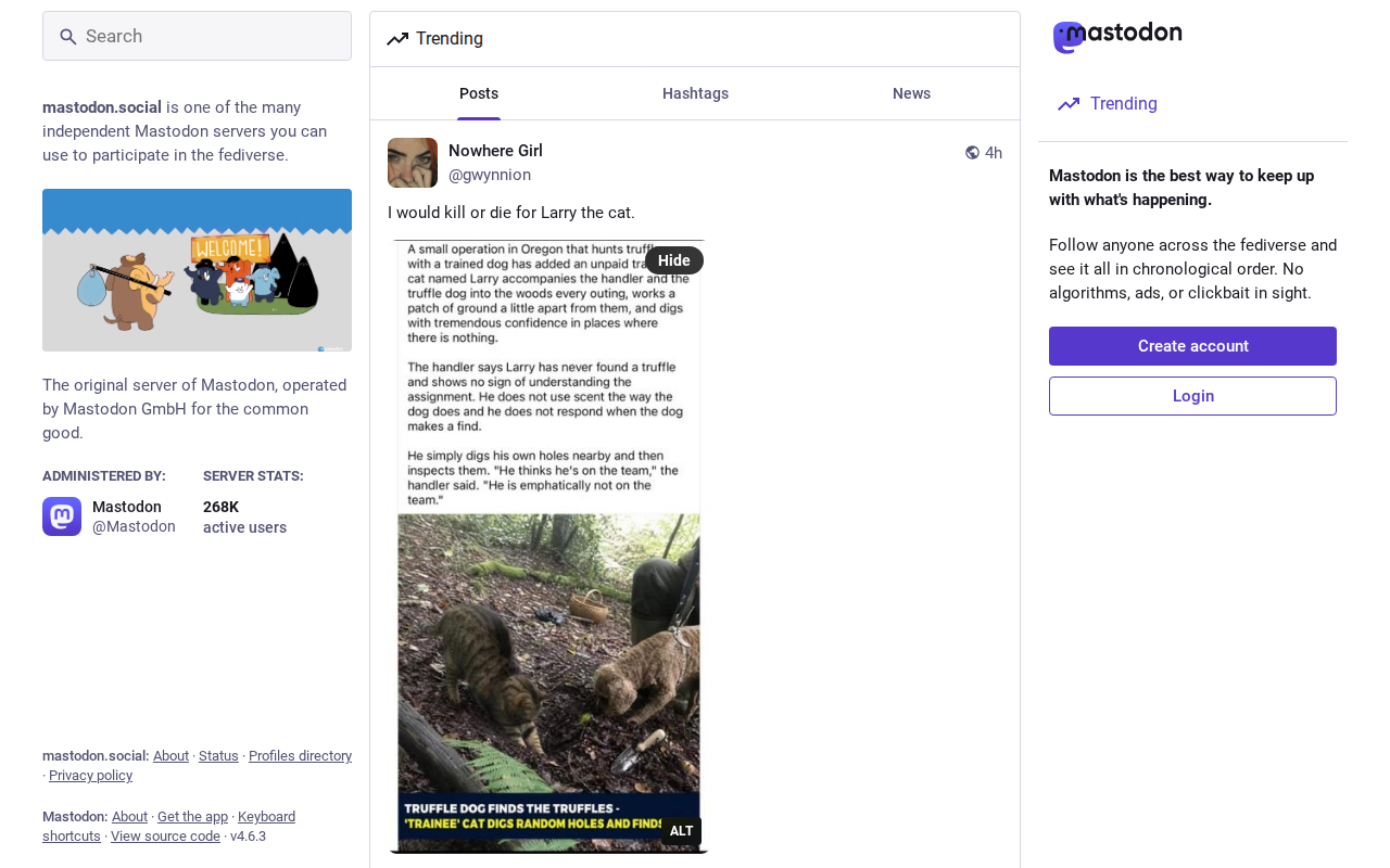 mastodon.social
