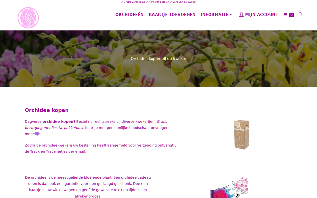 orchidee-kopen.nl