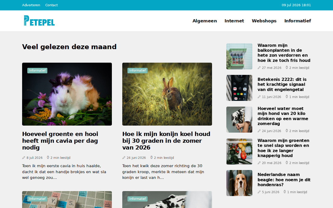 petepel.nl