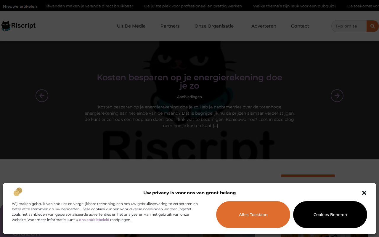 riscript.nl