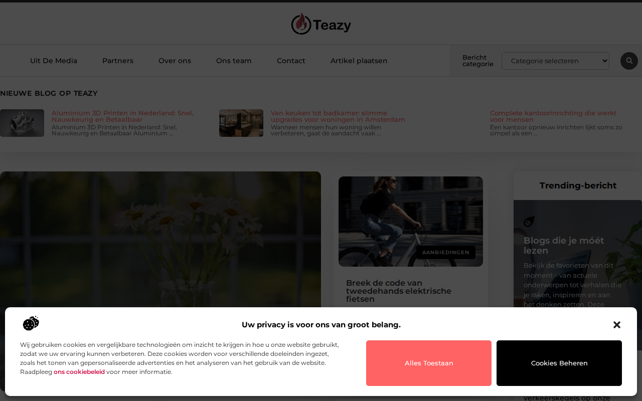 teazy.nl