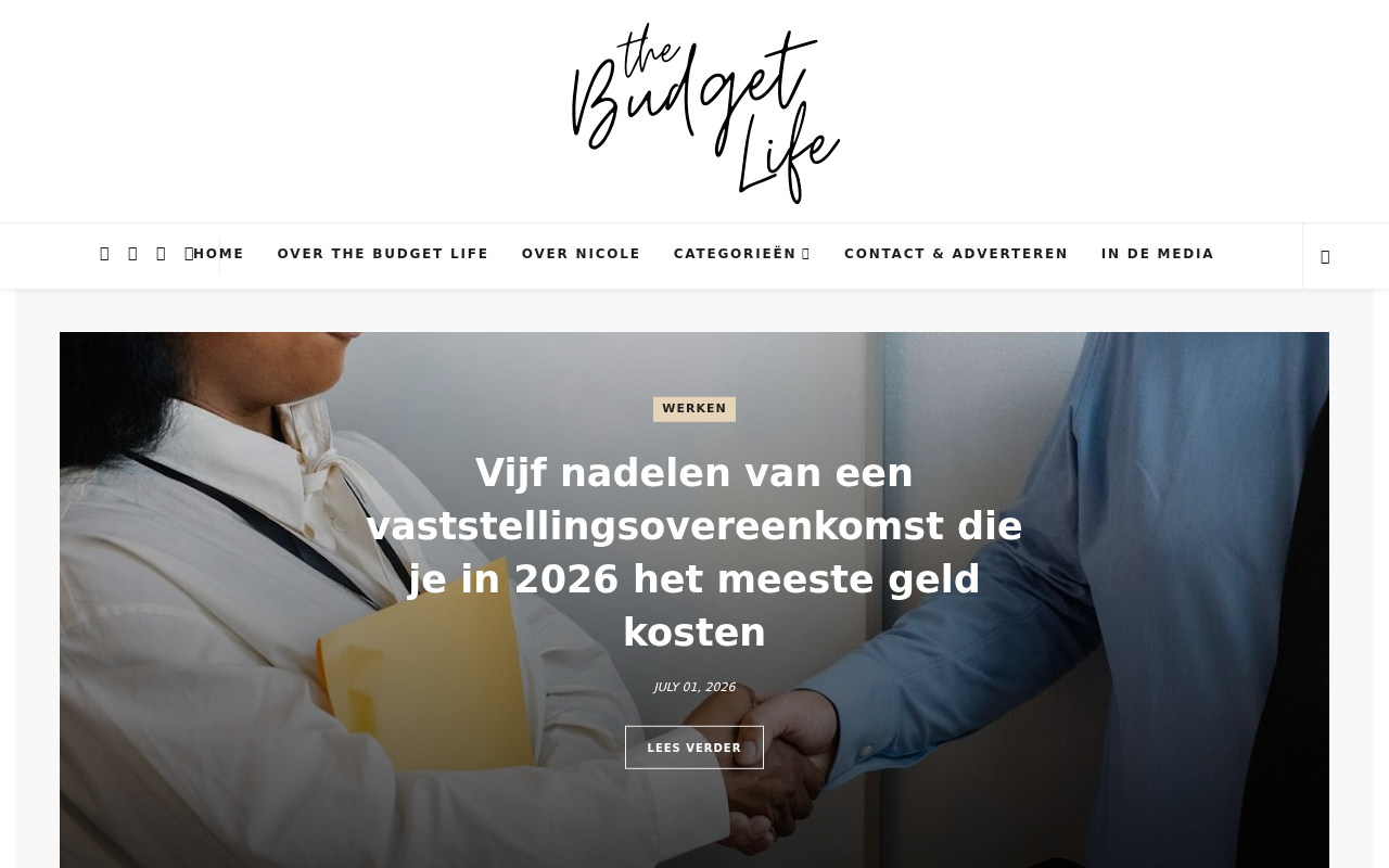 thebudgetlife.nl