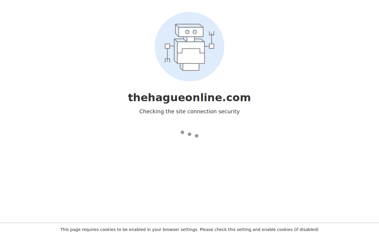 thehagueonline.com