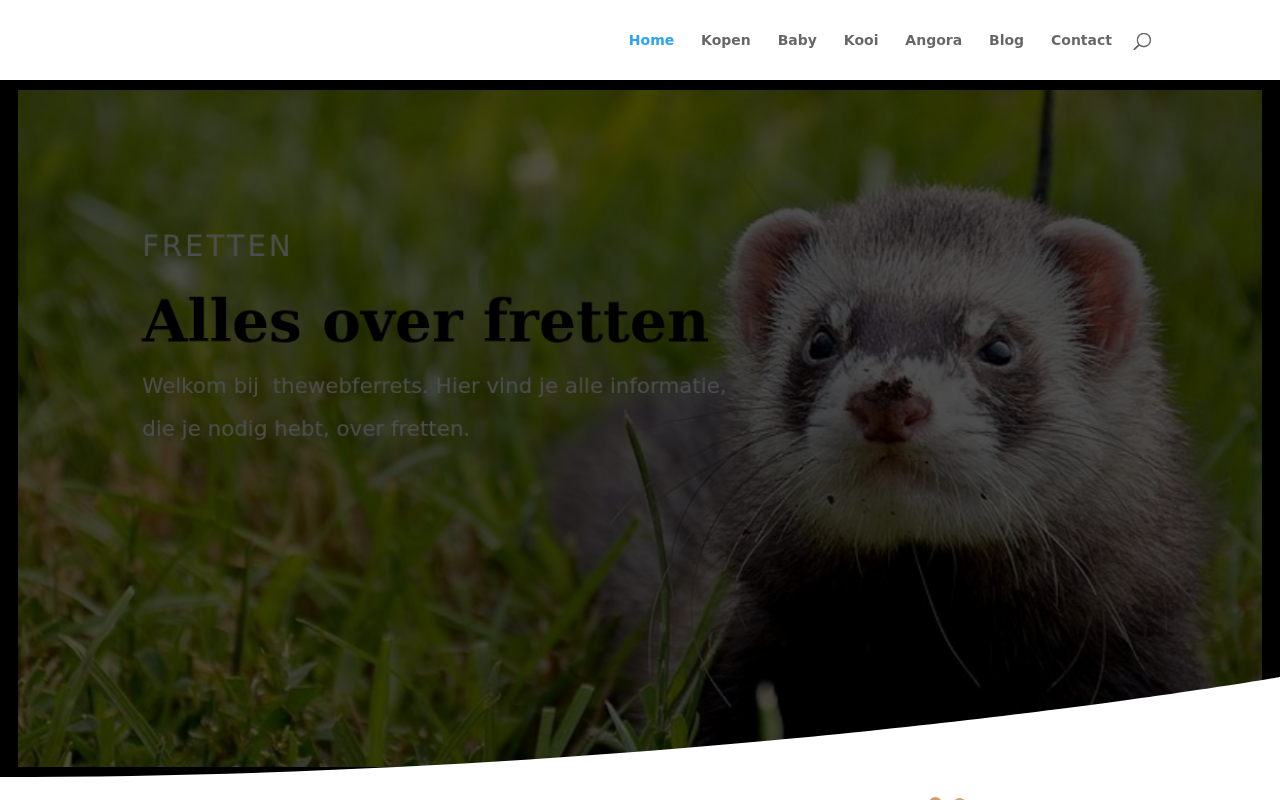 thewebferrets.nl