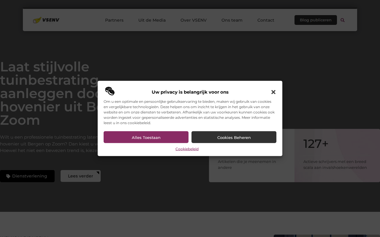 vsenv.nl