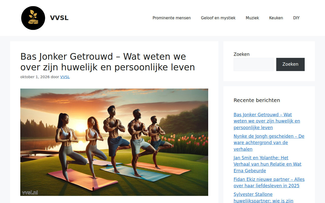 vvsl.nl