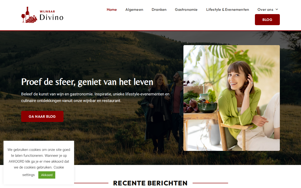 wijnbardivino.nl
