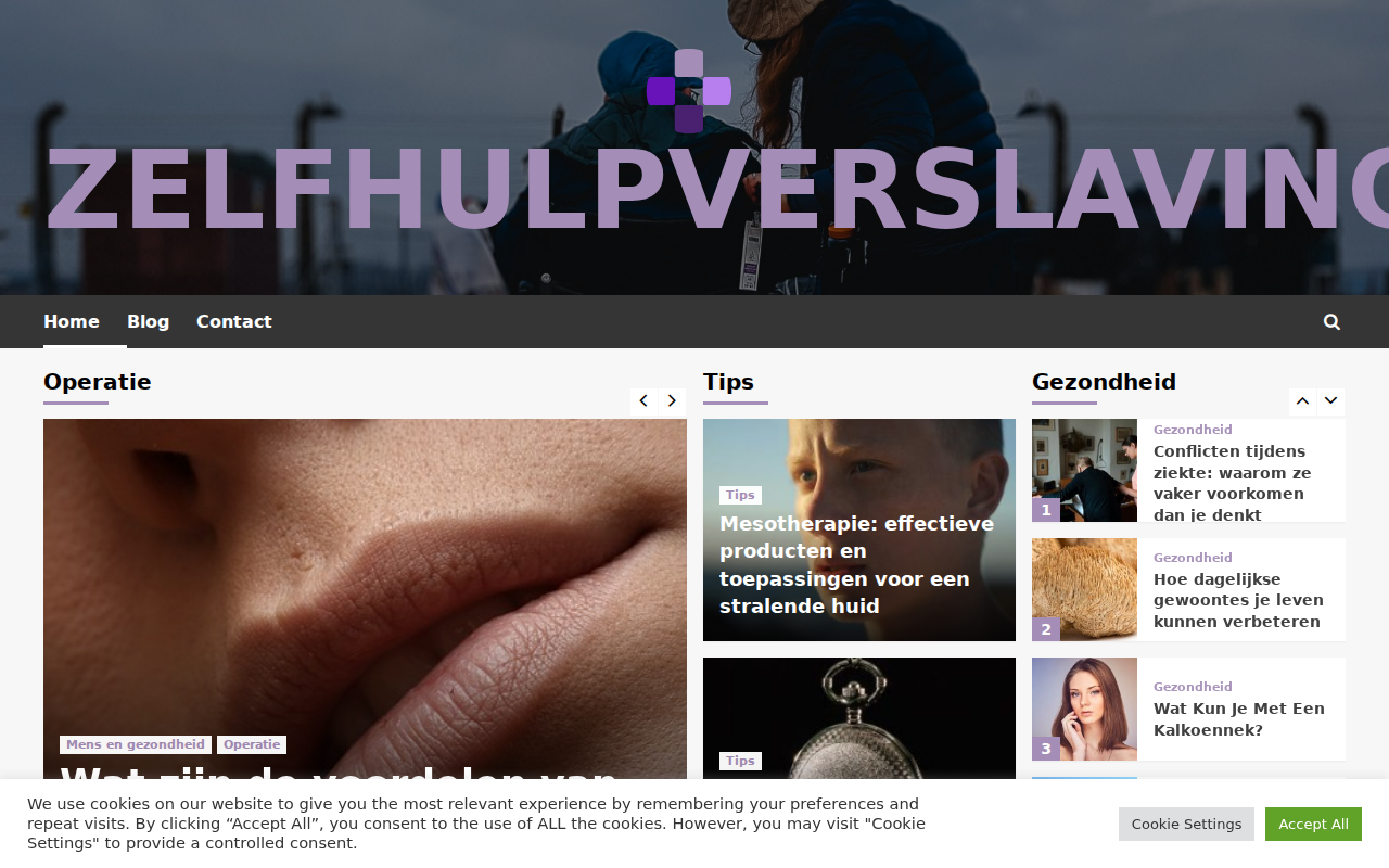 zelfhulpverslaving.nl